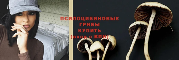 амф Навашино