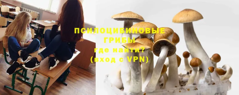 Псилоцибиновые грибы MAGIC MUSHROOMS  Морозовск 