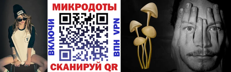 Галлюциногенные грибы мицелий  Морозовск 