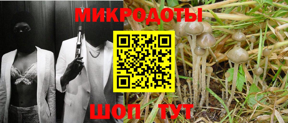 Морозовск  Псилоцибиновые грибы мицелий  Вход с VPN 