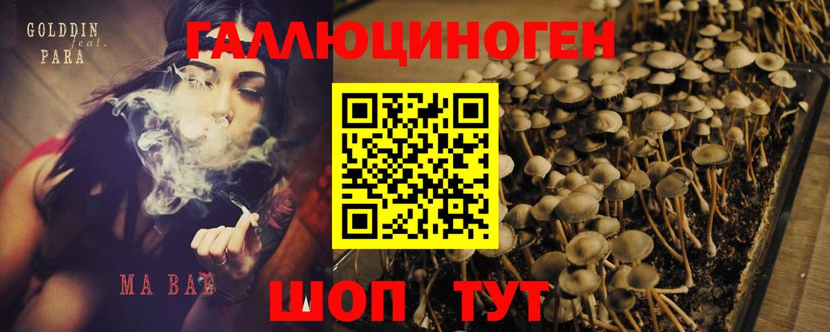 Псилоцибиновые грибы мухоморы Морозовск