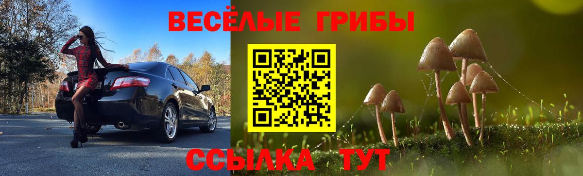 Галлюциногенные грибы ЛСД Морозовск